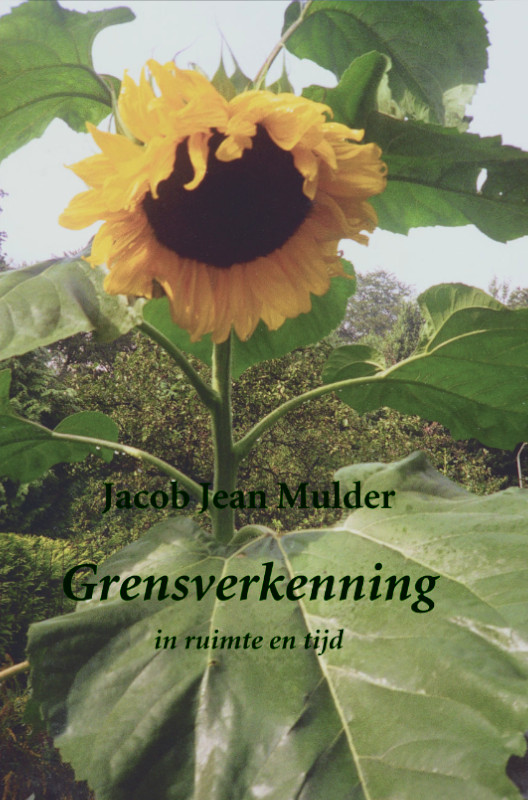 De Blijde Stilte - Gensverkenning